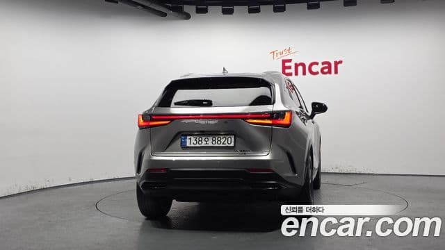 Lexus NX 2025 — миниатюра 4