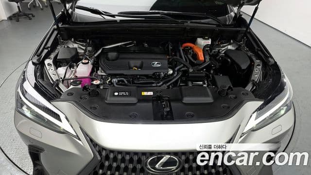 Lexus NX 2025 — миниатюра 6