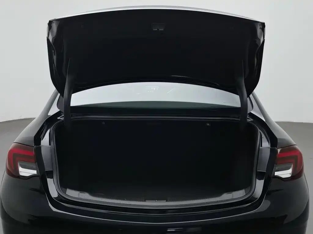 Buick Regal 2024 — миниатюра 16