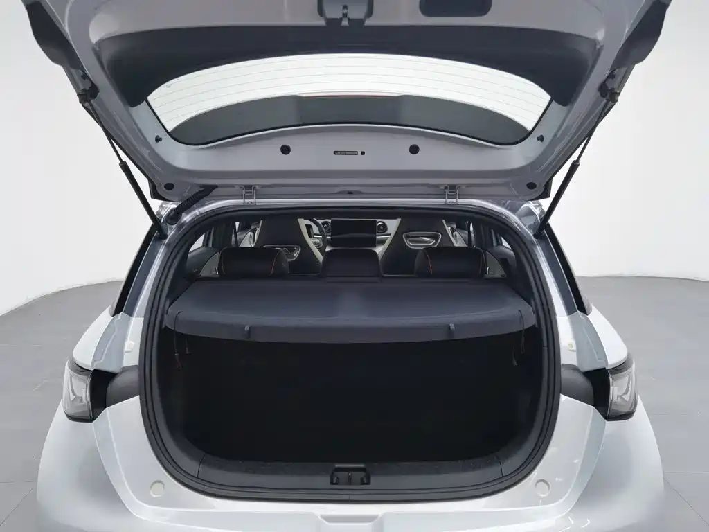 BYD Dolphin 2022 — миниатюра 16