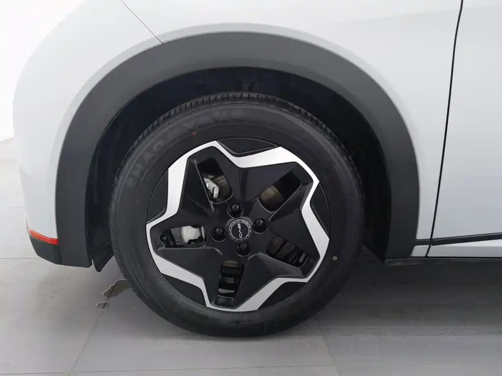 BYD Dolphin 2022 — миниатюра 17