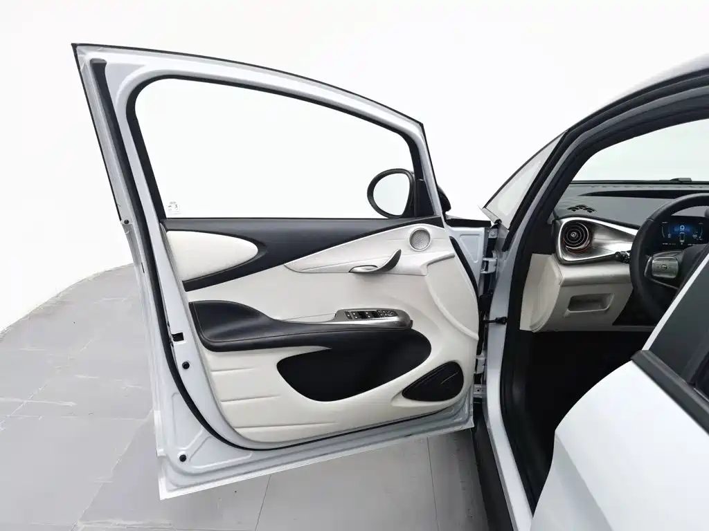 BYD Dolphin 2022 — миниатюра 8