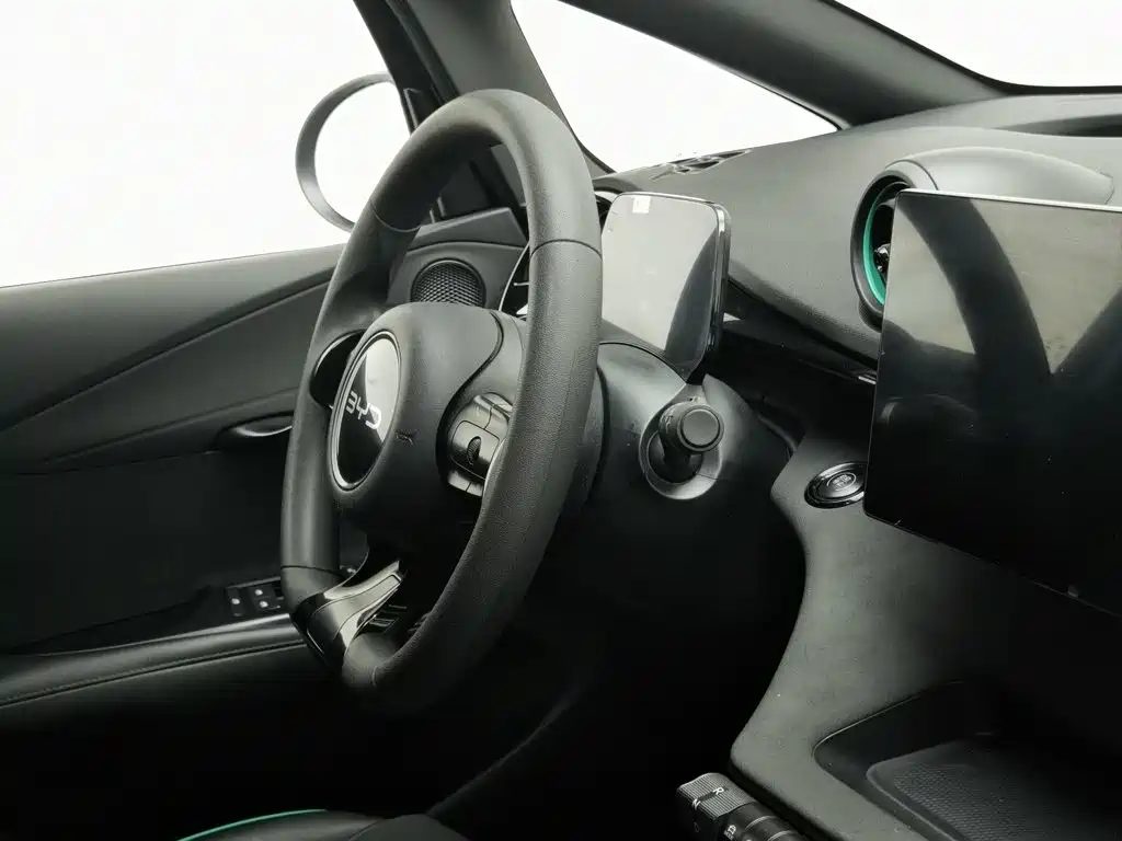 BYD Dolphin 2024 — миниатюра 22