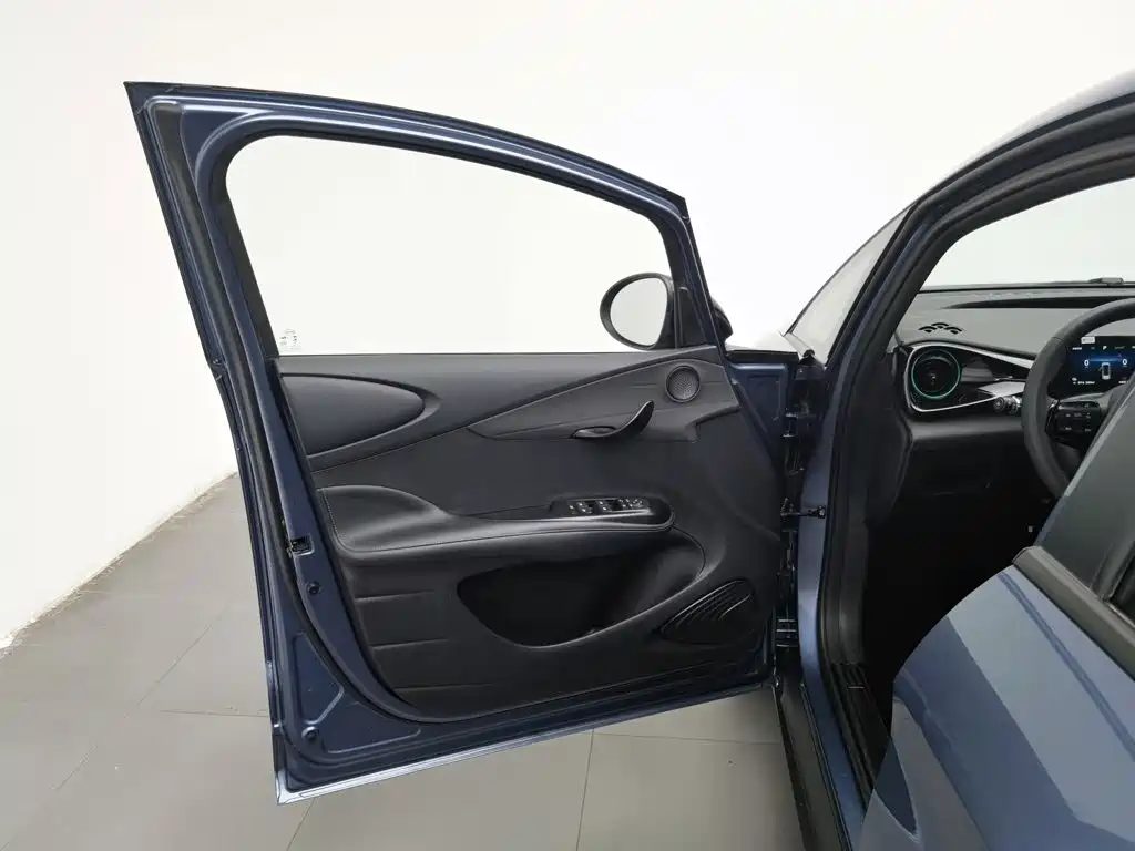 BYD Dolphin 2024 — миниатюра 8