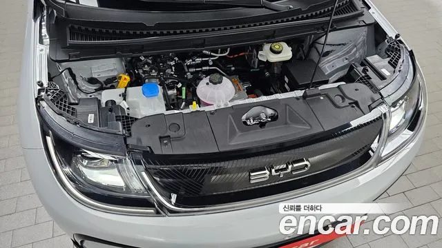 BYD Dolphin 2026 — миниатюра 6