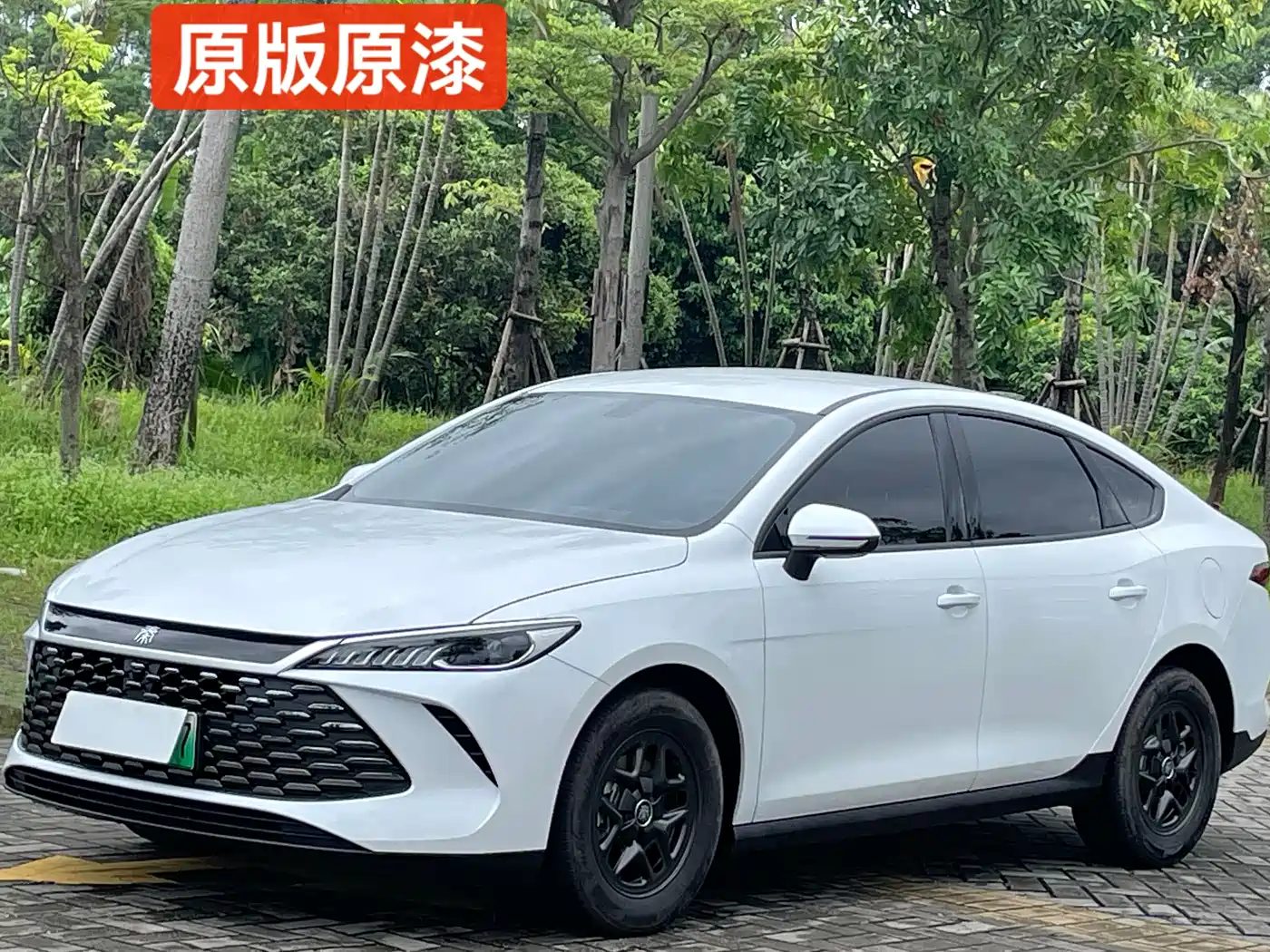 BYD Qin Plus 2025 — фото 1