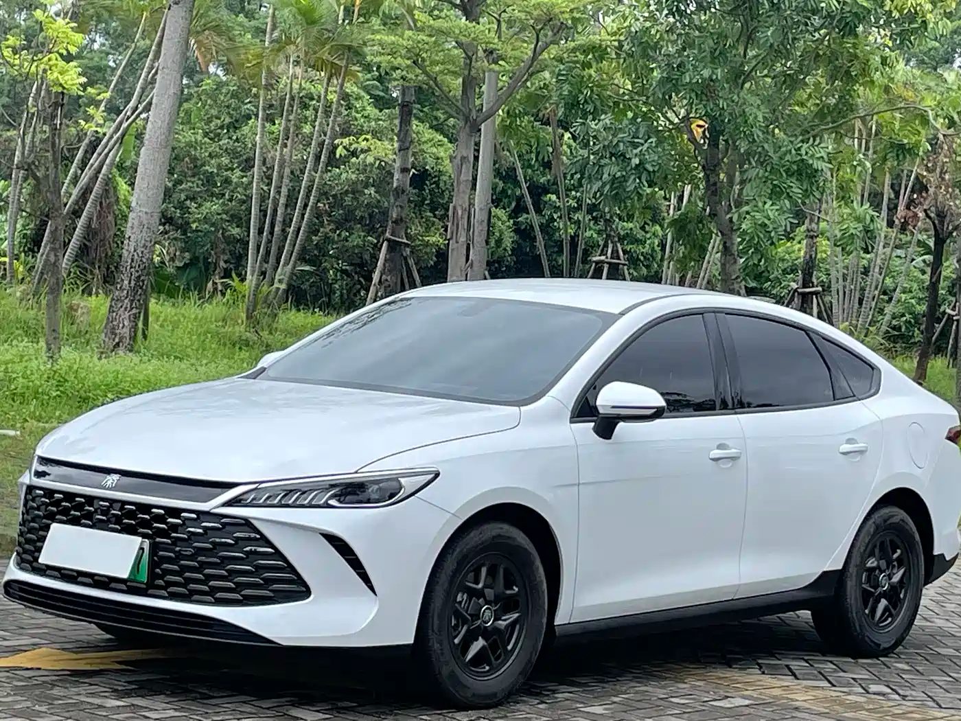 BYD Qin Plus 2025 — миниатюра 2