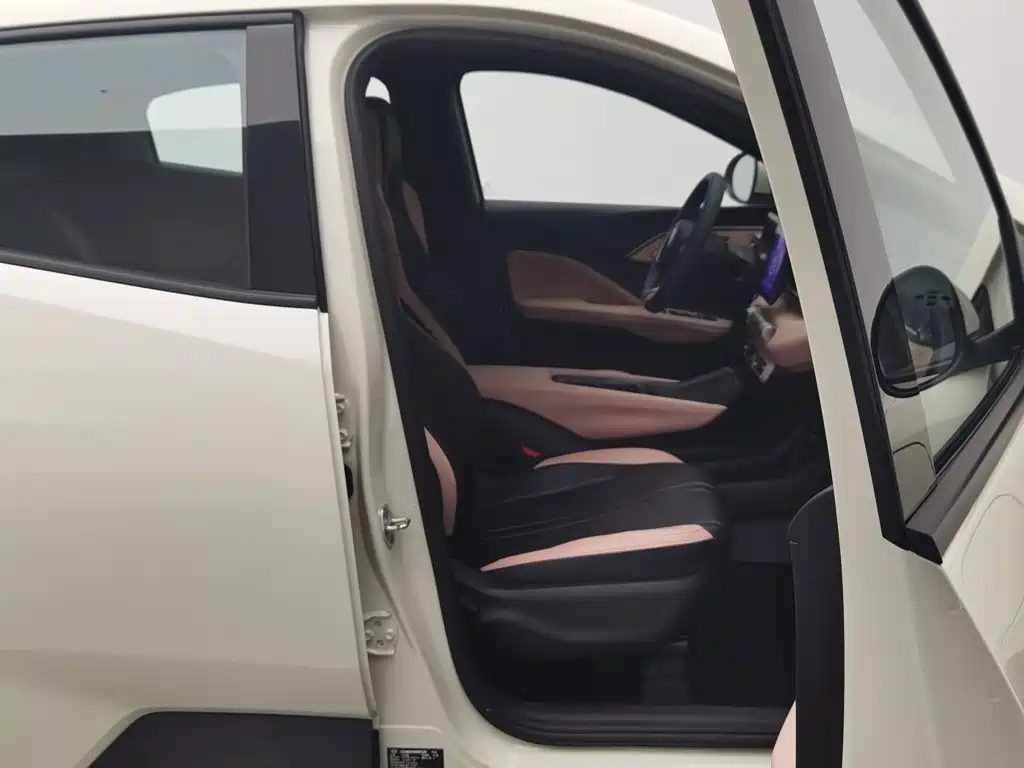 BYD Seagull 2025 — миниатюра 21