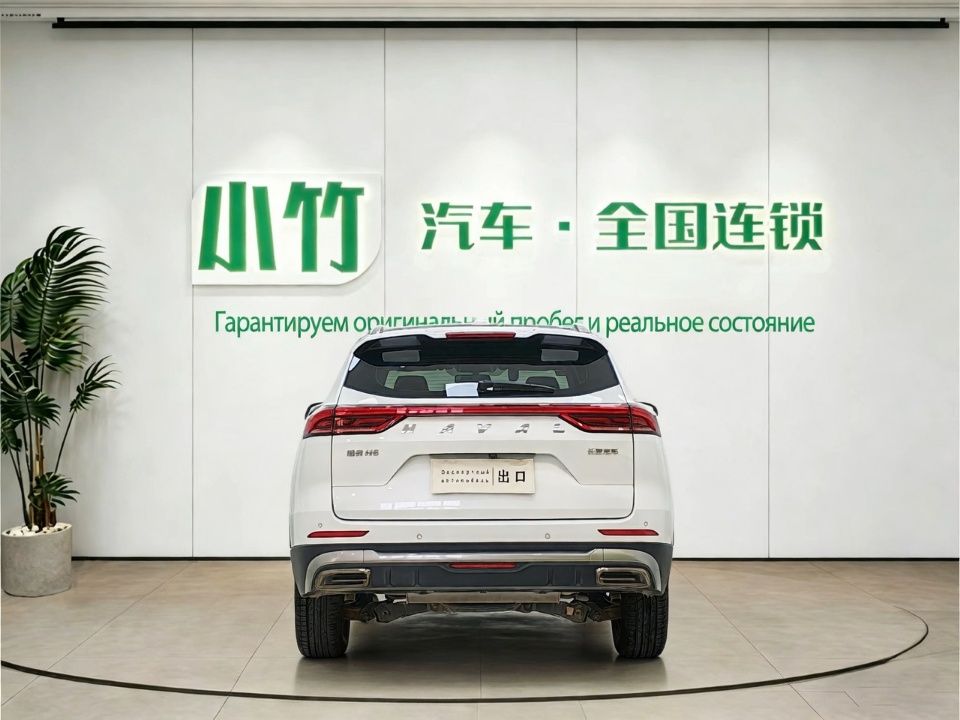 Haval H6 2021 — миниатюра 4