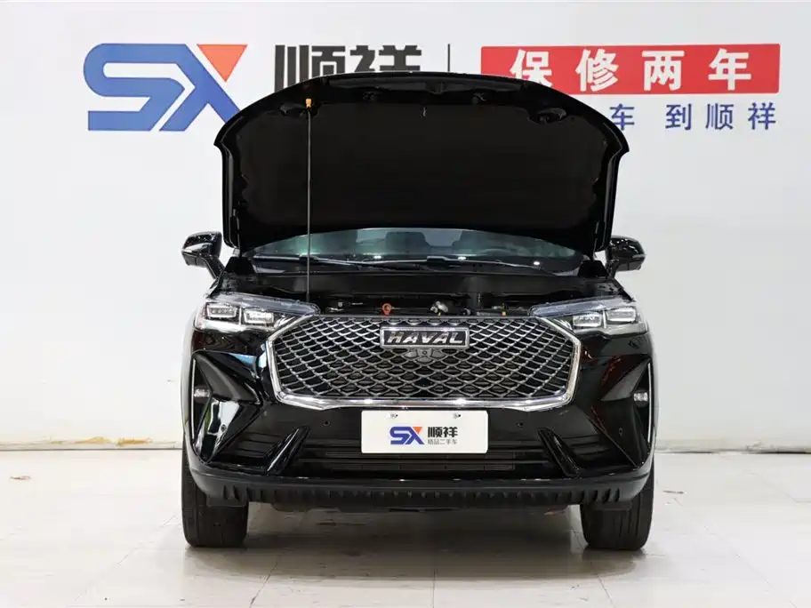 Haval H6 2021 — миниатюра 19