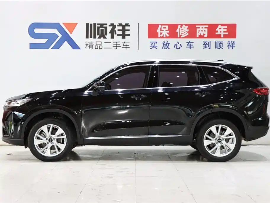 Haval H6 2021 — миниатюра 4