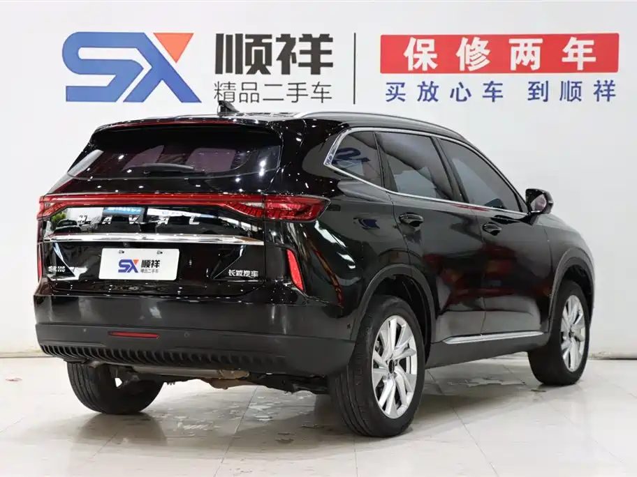 Haval H6 2021 — миниатюра 5