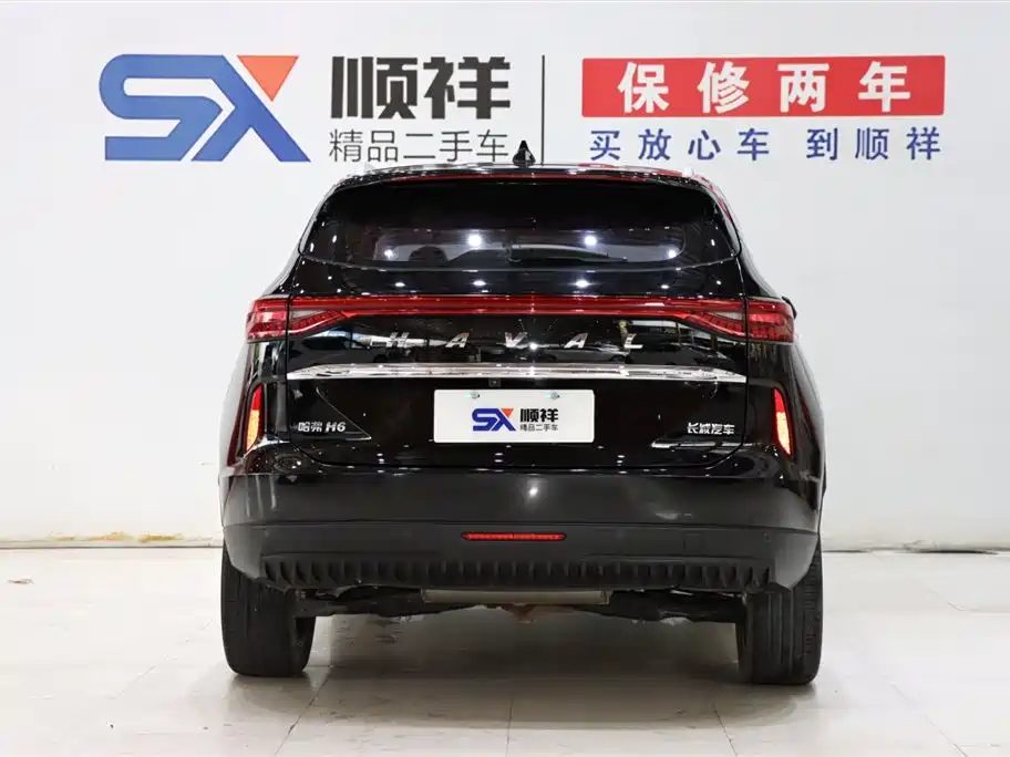 Haval H6 2021 — миниатюра 6
