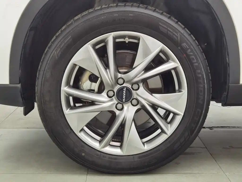 Haval H6 2022 — миниатюра 17