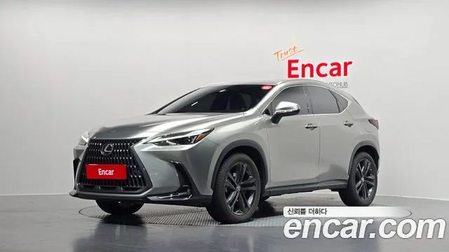 Lexus NX 2023 — фото 1