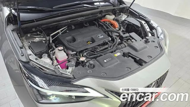 Lexus NX 2023 — миниатюра 6