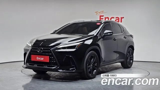 Lexus NX 2024 — фото 1