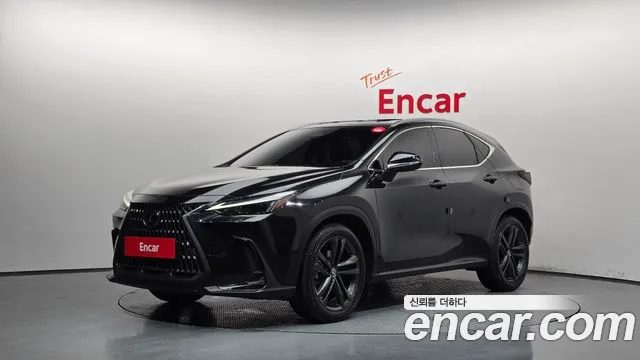Lexus NX 2025 — фото 1