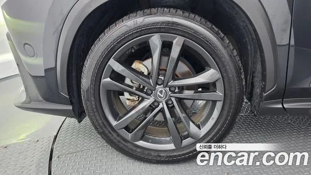 Lexus NX 2025 — миниатюра 5