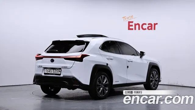 Lexus UX 2022 — миниатюра 2