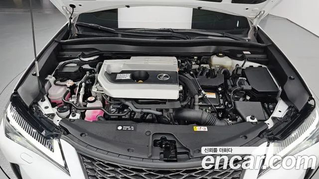 Lexus UX 2022 — миниатюра 6